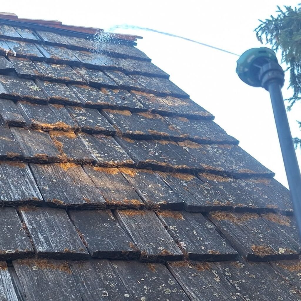 cedar roof waterproofing