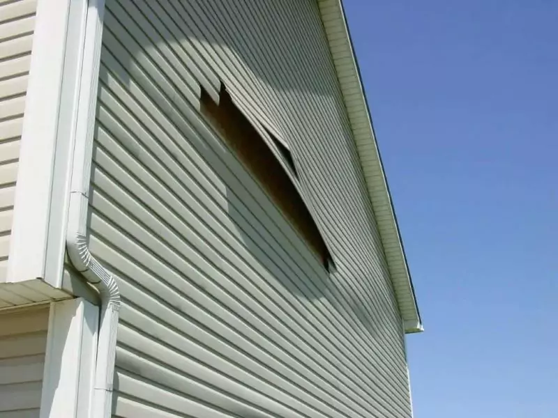 vinyl siding vs fiber cement siding