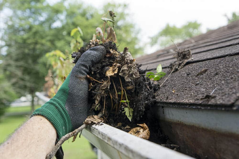 Clear the gutters and downspouts