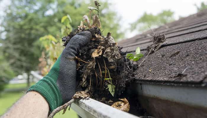 Gutter Cleaning Service Chicago