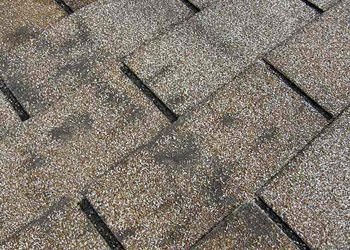 Dark, “dirty-looking” areas on your roof.