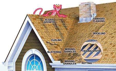 Looking for roof damage