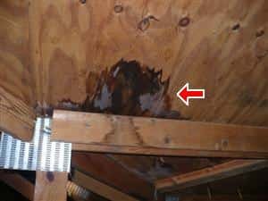 Roof replacement and maintenance - mold