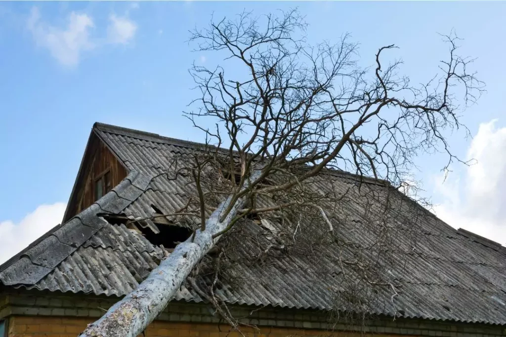 roof replacement safety