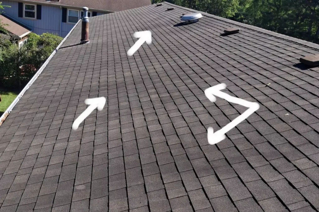 algae on asphalt shingles
