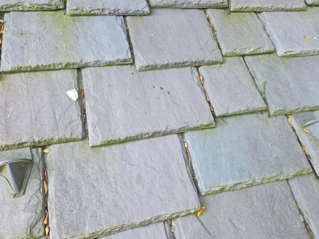 what to do with algae on the roof