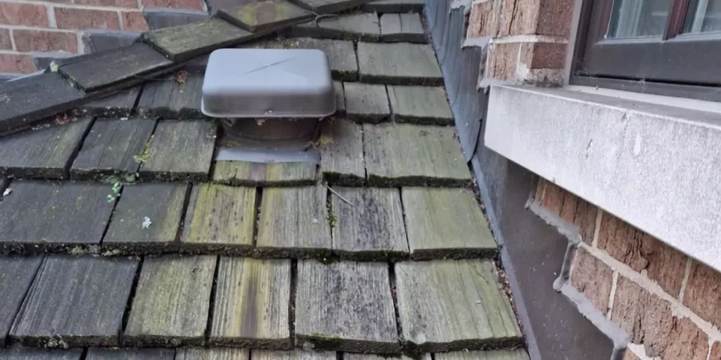 removing algae from cedar roof