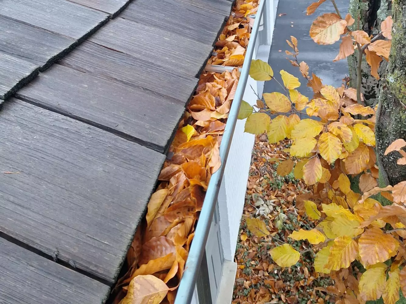 gutter maintenance guide