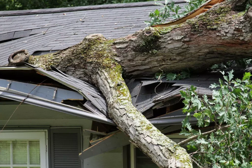 roof damaged by the storm