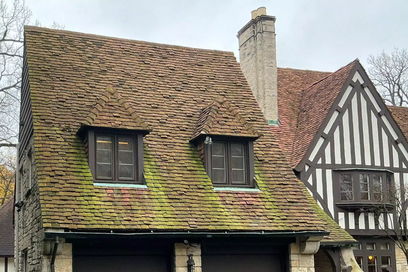 what to do with roof algae