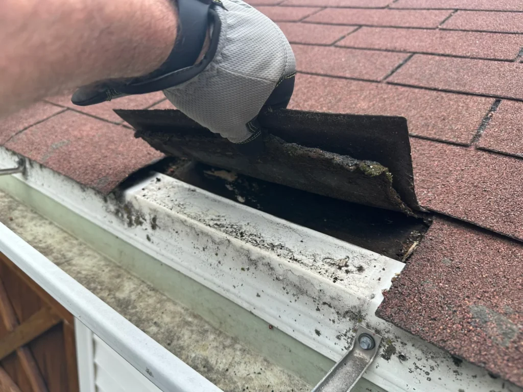 lifting edge of asphalt shingle roof