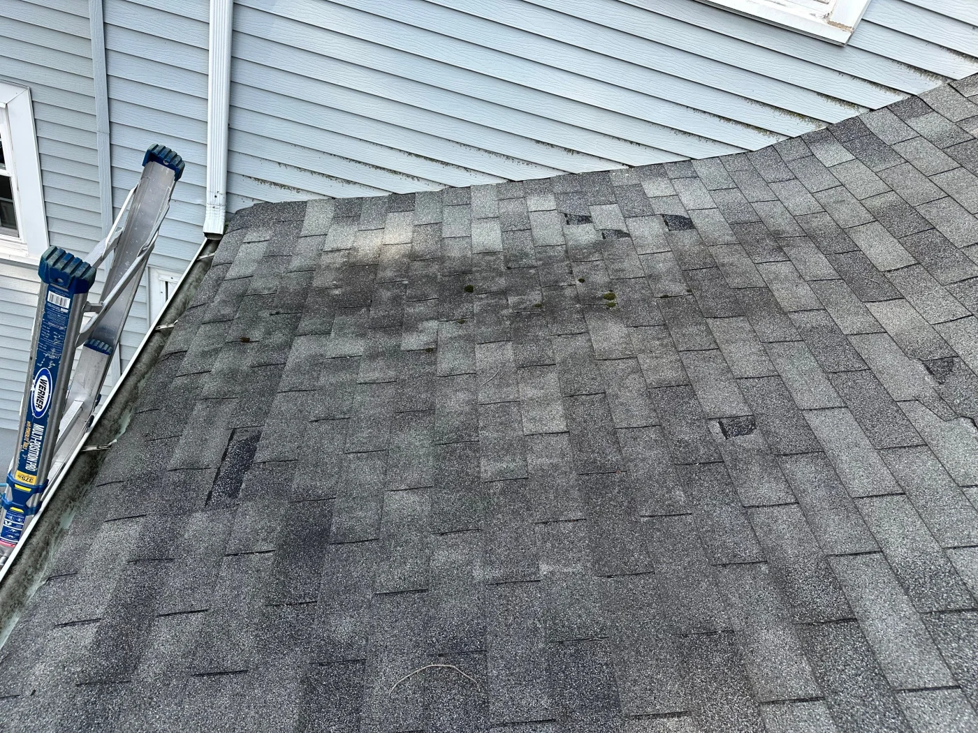 what to do if asphalt shingle roof is damaged