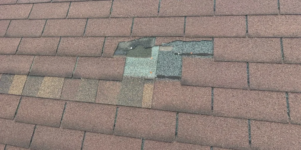 what to do with damaged asphalt shingle roof