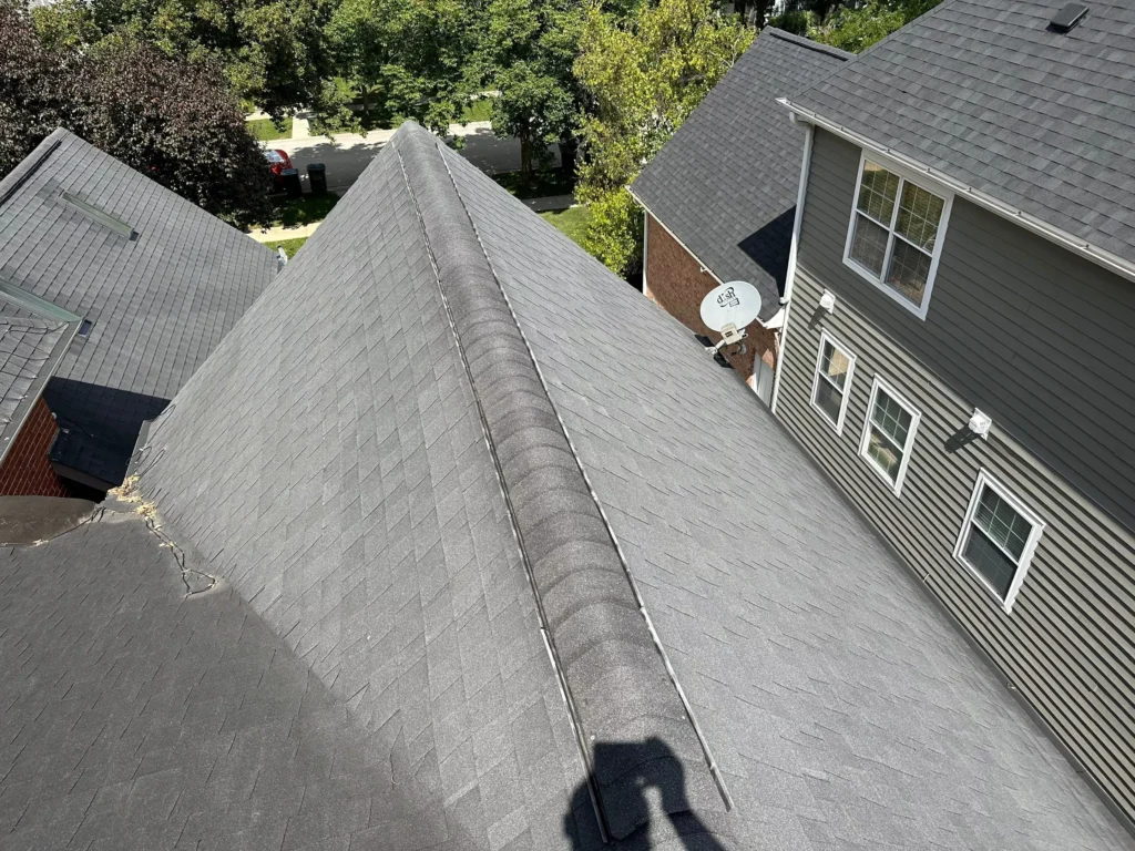 Picture of a roof covered with asphalt shingles