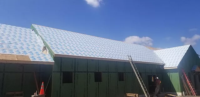 Picture of ice and water shield