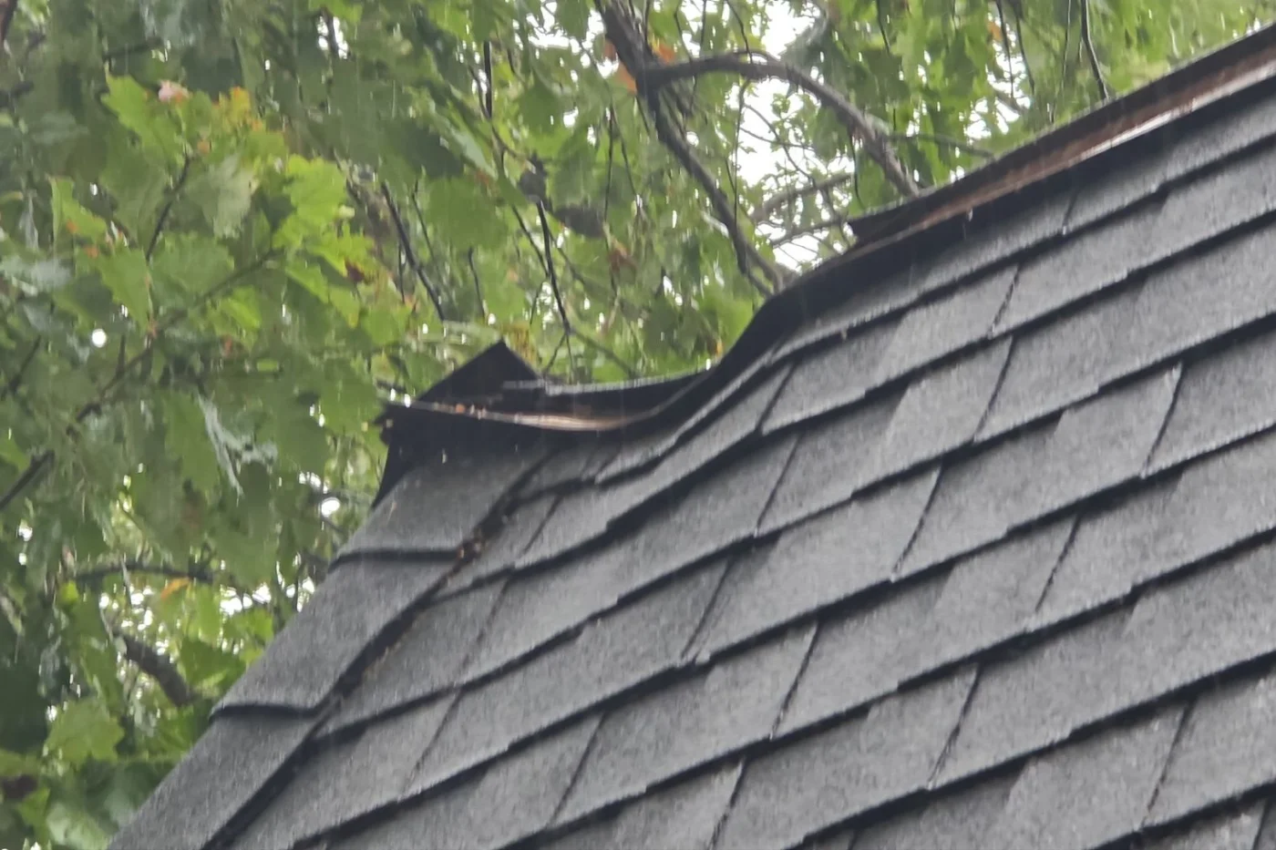 storm chasers who they are