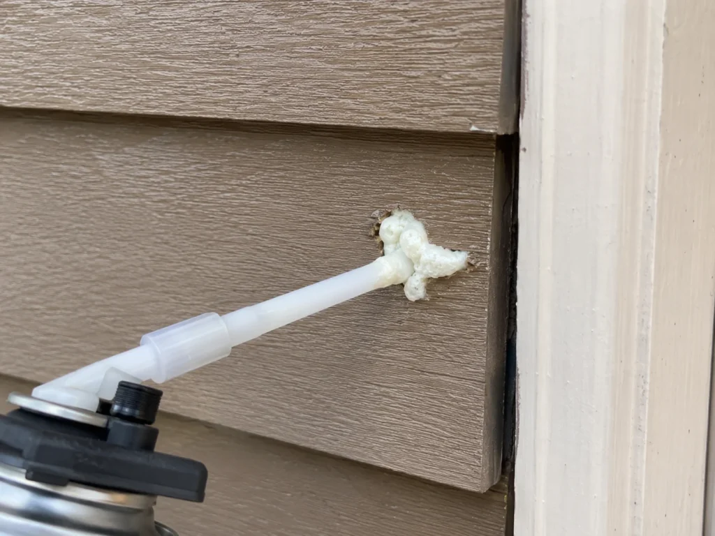 can fill woodpecker holes in siding with expanding foam