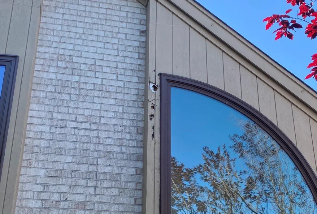 woodpecker damage in natural wood siding