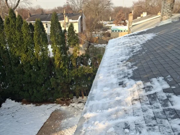 roof snow removal glenview il